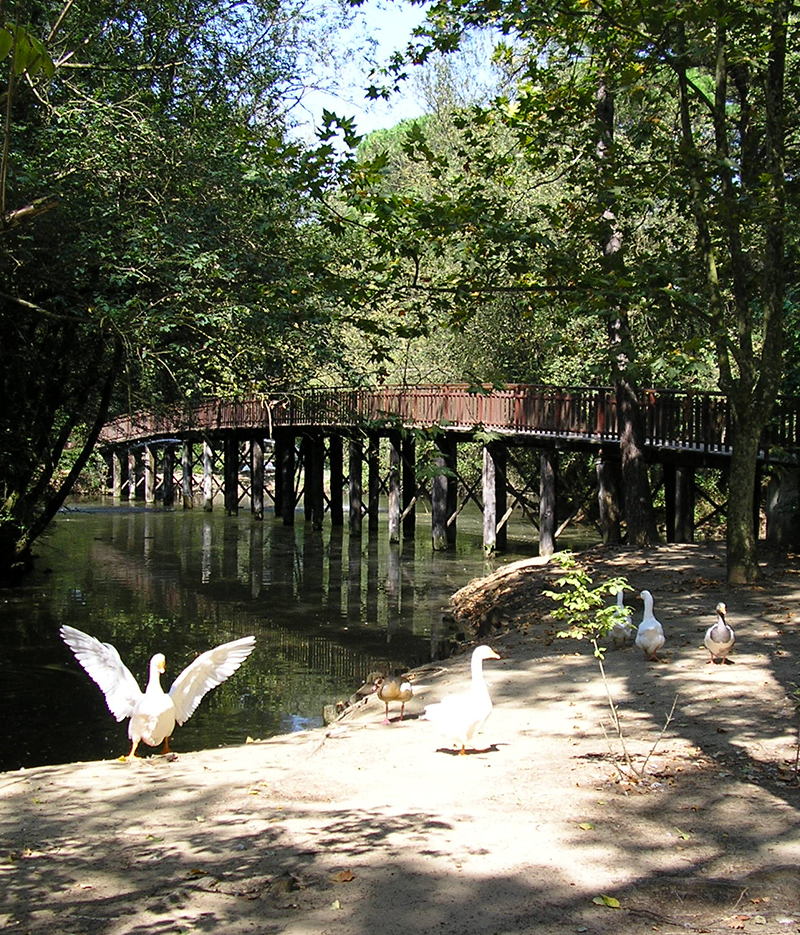 Hotel Manila Pinarella di Cervia