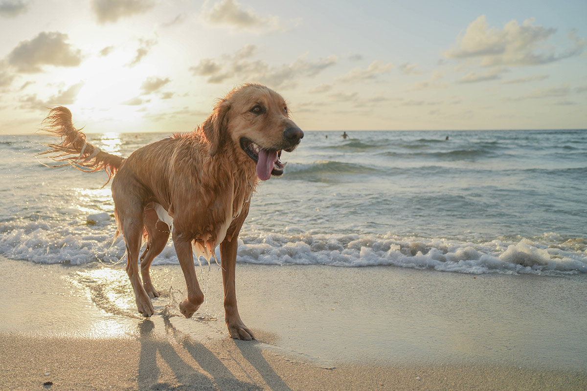 Hotel Manila Pinarella di Cervia