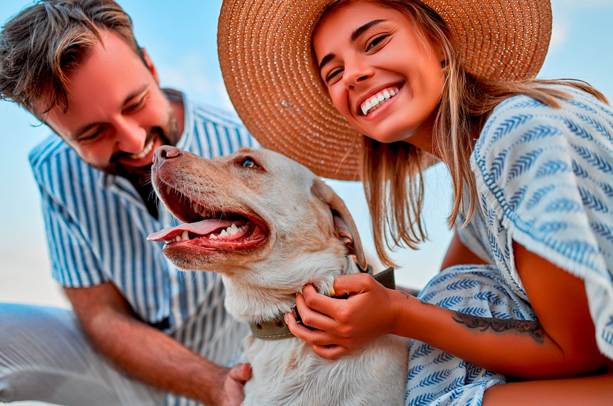 Il tuo amico a quattro zampe soggiorna GRATIS!